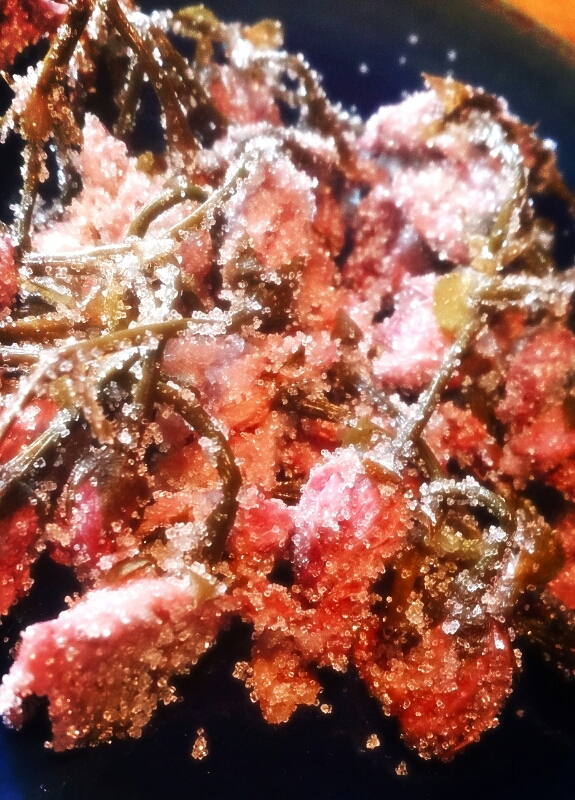 f0341250_11394199.jpg