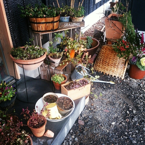 f0341250_11491587.jpg