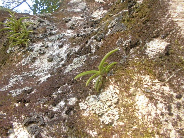 f0318967_19054285.jpg