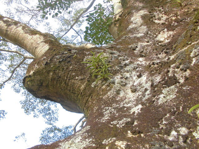 f0318967_19055172.jpg