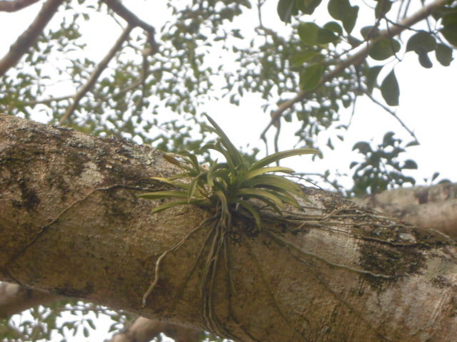 f0318967_19060283.jpg