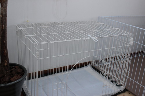 e0114977_23115230.jpg