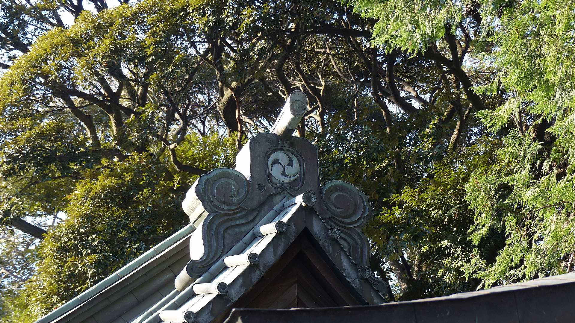 a0185081_16102250.jpg
