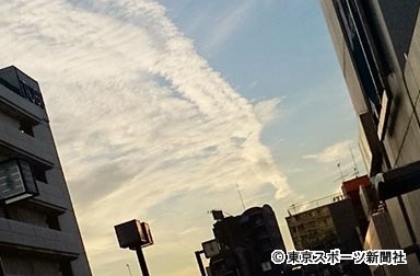 d0176186_21131634.jpg