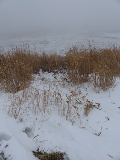 f0357487_23244711.jpg