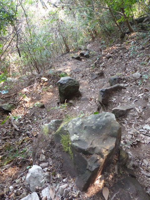 f0357487_23284246.jpg