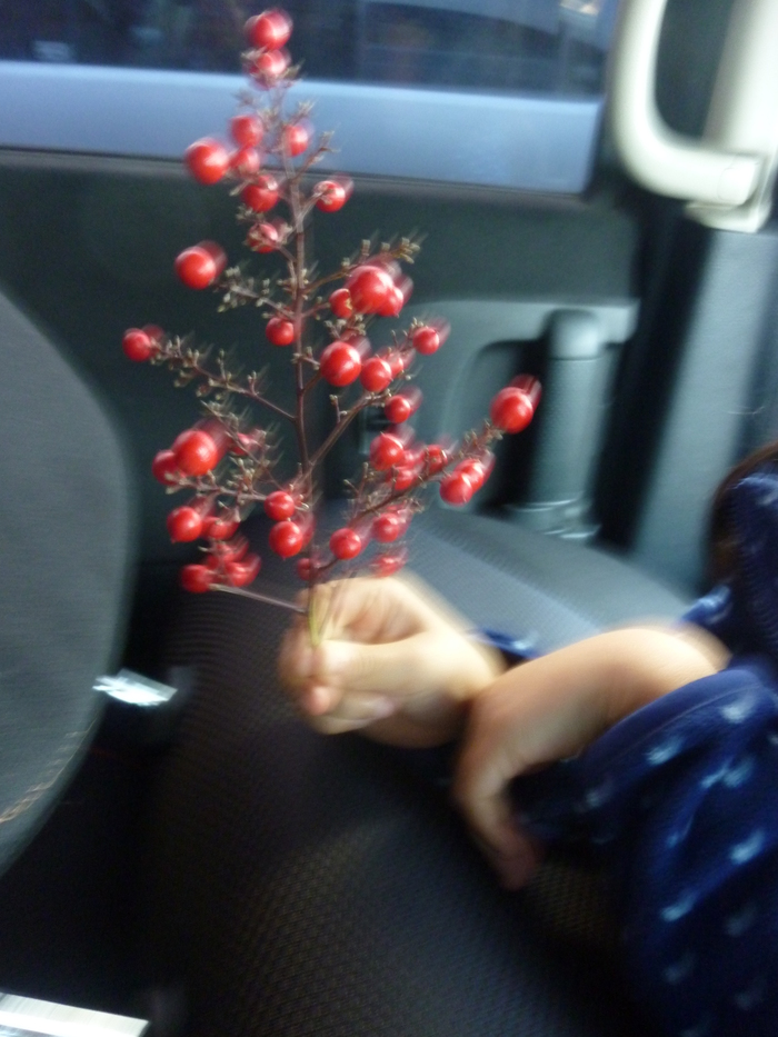 d0333091_17131570.jpg
