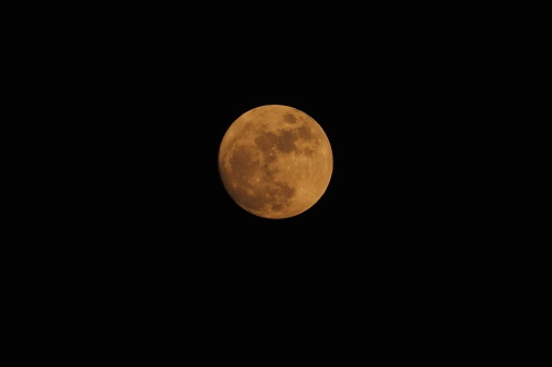 a0331996_17072324.jpg