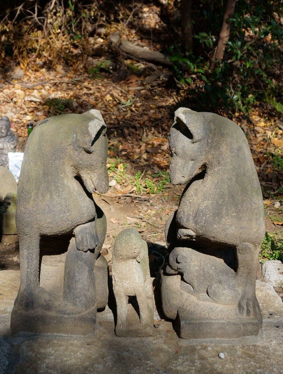 f0036603_19555365.jpg