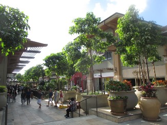 d0091909_185567.jpg