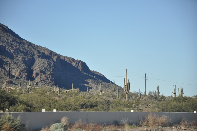 b0171411_11495623.jpg