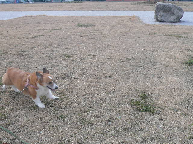 e0026017_21221679.jpg