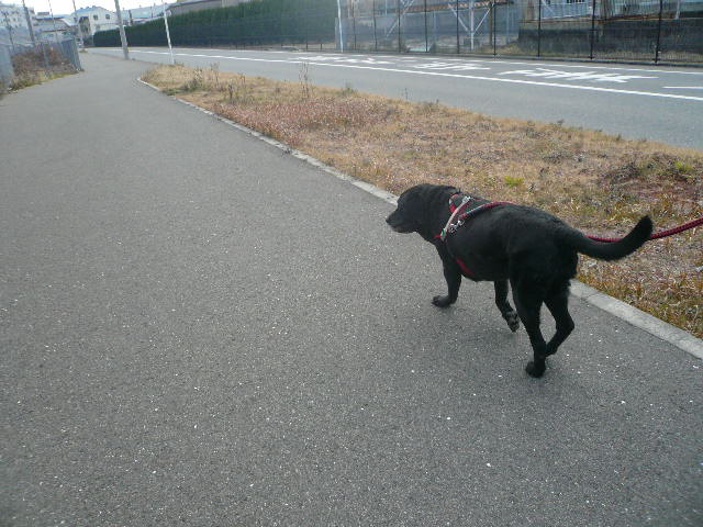 e0026017_21224139.jpg