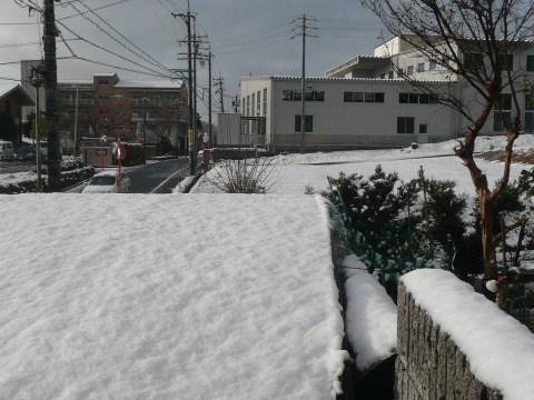 c0009528_15133516.jpg