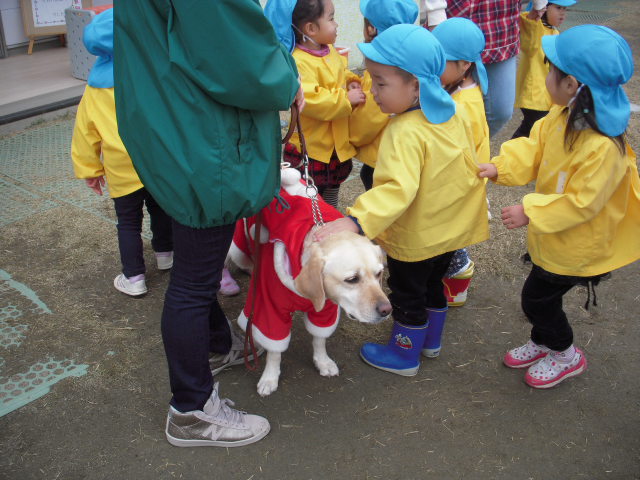 c0114833_23231358.jpg