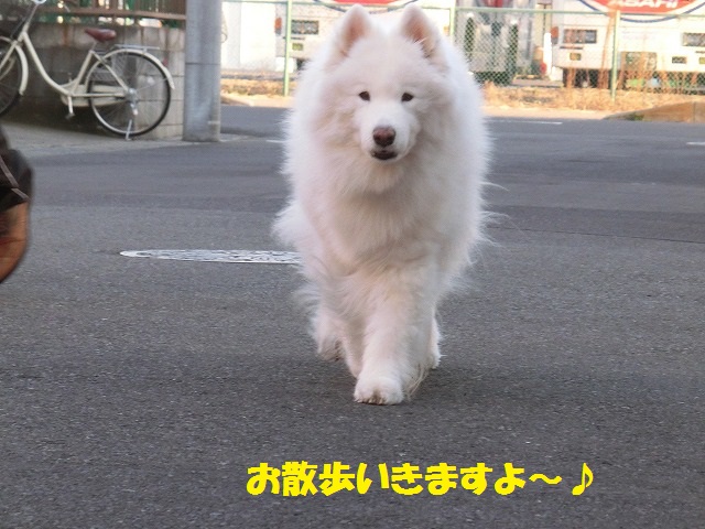e0196135_14441479.jpg