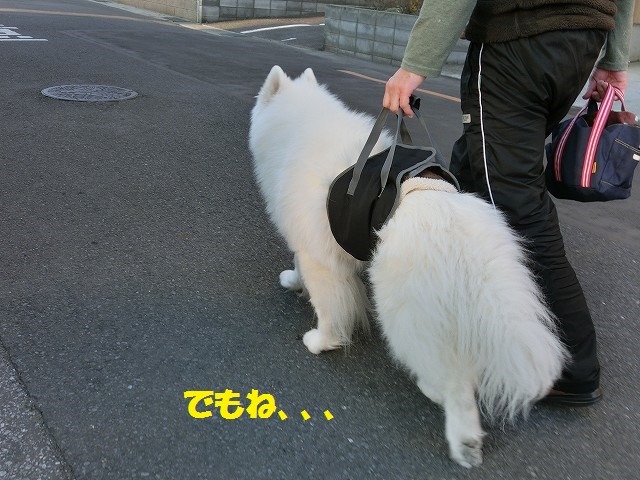 e0196135_14443675.jpg