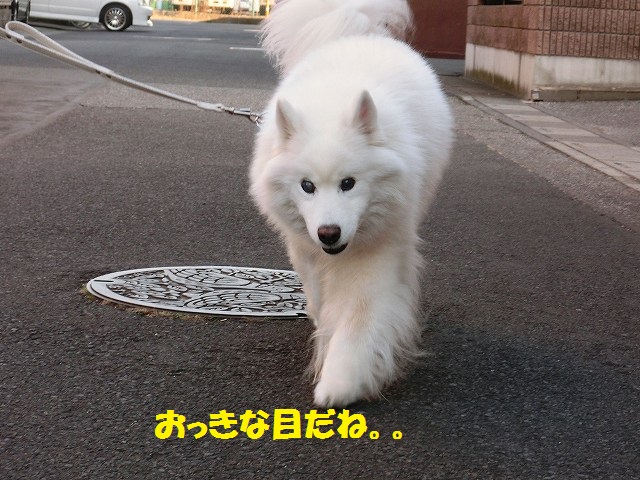 e0196135_14453181.jpg