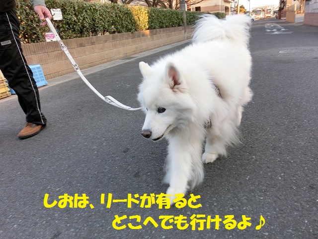 e0196135_14454168.jpg