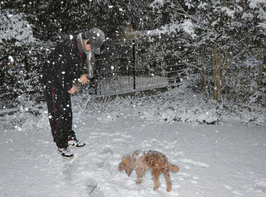 c0136736_18165646.gif