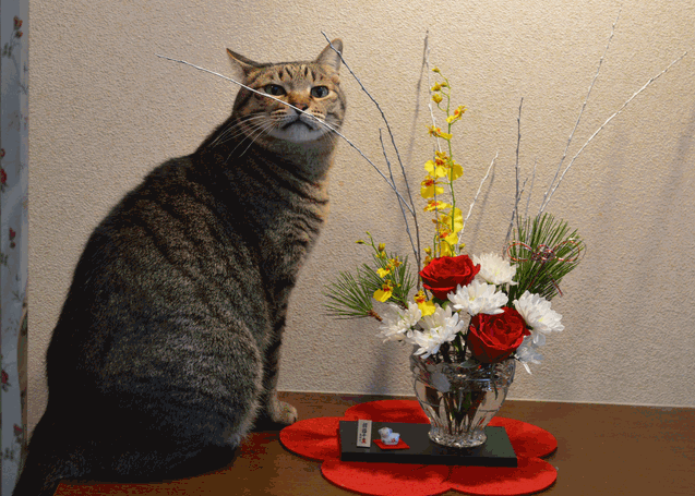 c0136736_18211347.gif