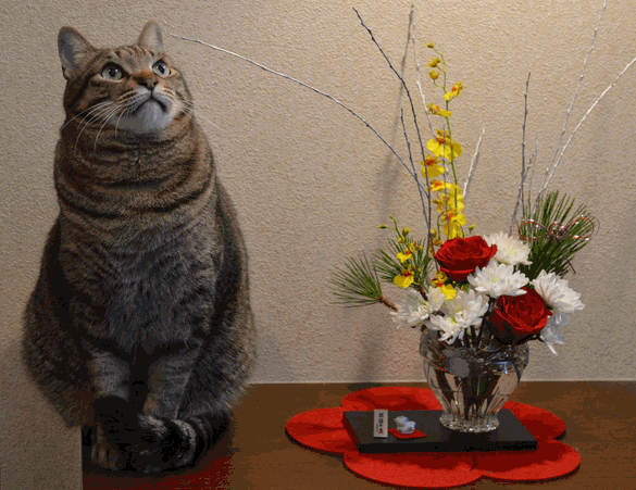 c0136736_18221820.gif