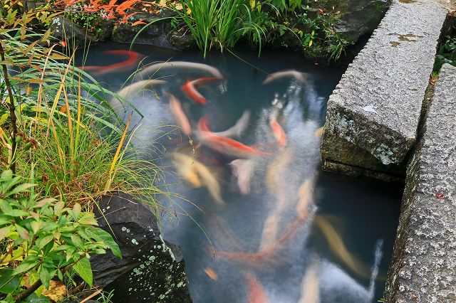 a0242438_19293910.jpg