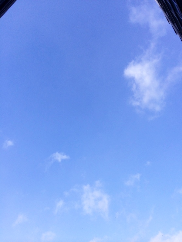c0155539_23262435.jpg
