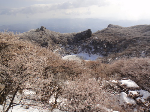 c0179351_16500837.jpg