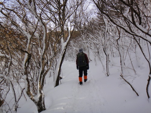 c0179351_16522600.jpg