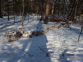 e0004756_20553476.jpg