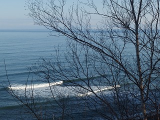 e0004756_2162553.jpg