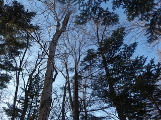 e0004756_2191737.jpg