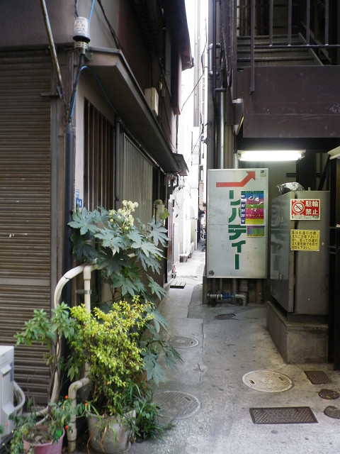 c0080357_923155.jpg