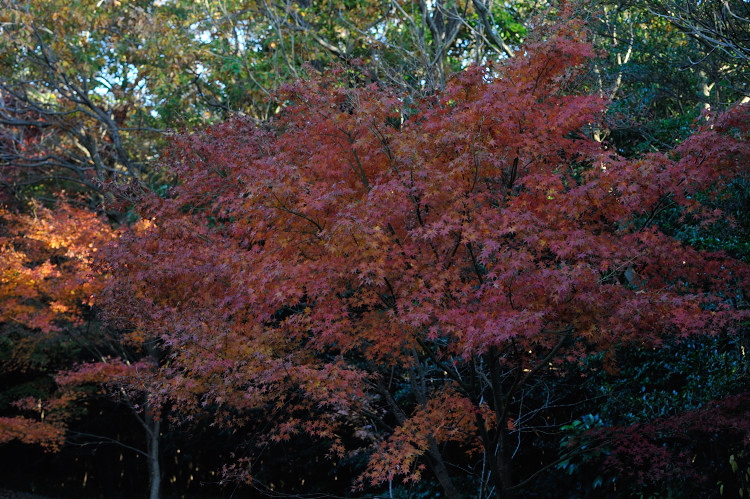 e0157760_11102136.jpg