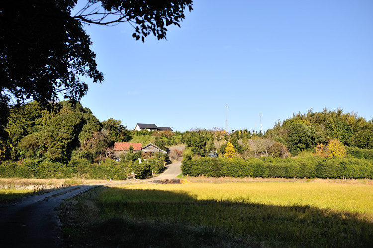 e0157760_116383.jpg