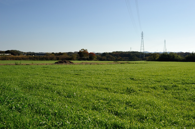 e0157760_1164416.jpg