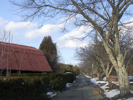 b0075364_21432310.jpg
