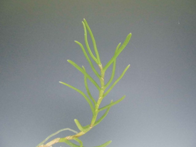 f0318967_19331395.jpg