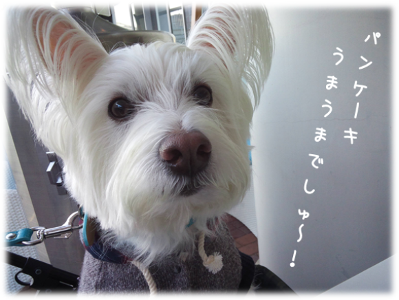 b0242873_00433328.png