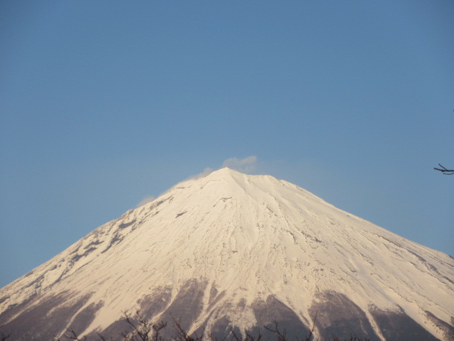 d0109373_010628.jpg
