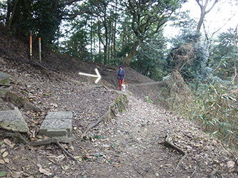 b0057675_20254776.jpg