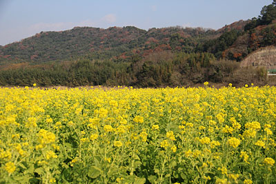 c0152779_11461253.jpg
