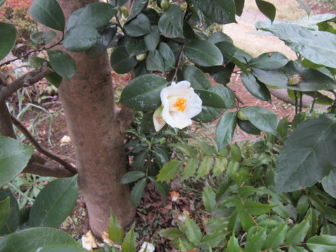 a0027290_21234933.jpg