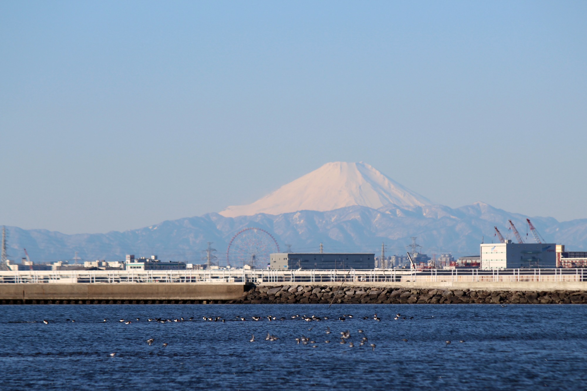 a0127090_21513549.jpg