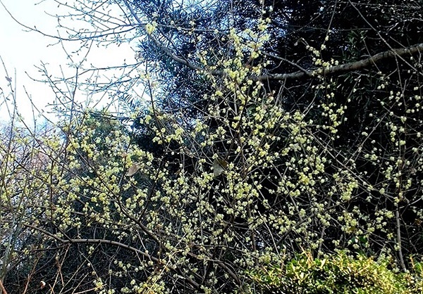 e0143690_21113438.jpg