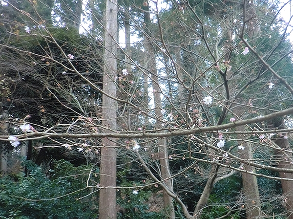 e0143690_2211450.jpg