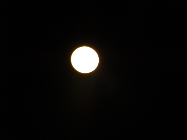 e0203793_385163.jpg