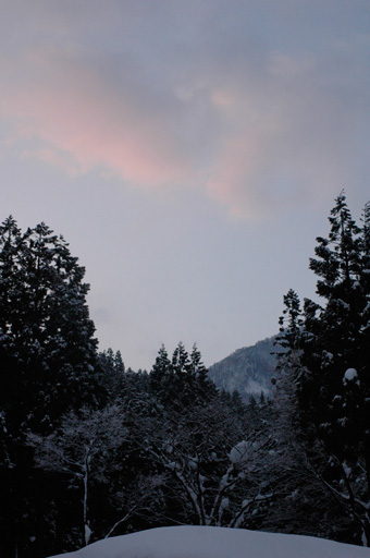 a0061599_7203413.jpg