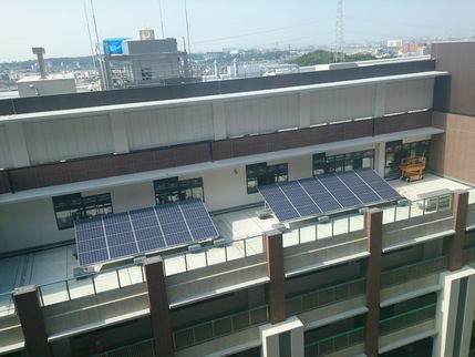 f0353904_1456725.jpg